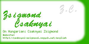 zsigmond csaknyai business card